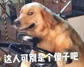 狗主人回应农村狗狗因霸气走红