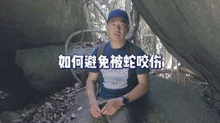 疑被蛇咬伤身亡，一位即将踏入研究生殿堂的女子的悲剧