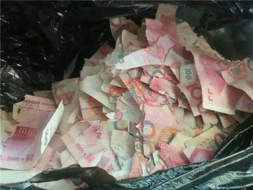 深圳一河道惊现大量成扎钞票，引发热议与调查
