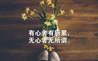 蔡澜离别信公布，深情告别，人生路途的感悟